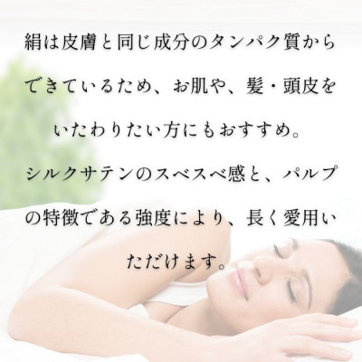 洗える抗菌シルク和紙 枕カバー  1枚　肌にやさしい、美容・ヘアケアにぴったり 【高島屋選定品】