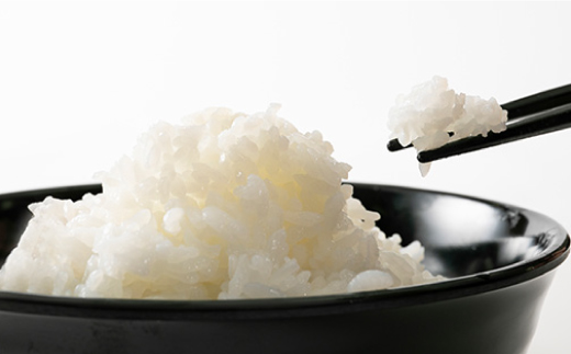 数量限定　令和7年新米　大江山蛇紋岩成分の影響を受けたミネラル豊富な棚田で育ったコシヒカリ精米5kg