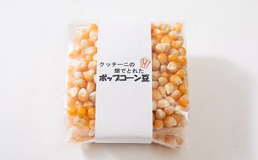 栽培期間中、農薬を使わず自家栽培　シェフの畑のポップコーン豆　100g×4袋(20食分)
