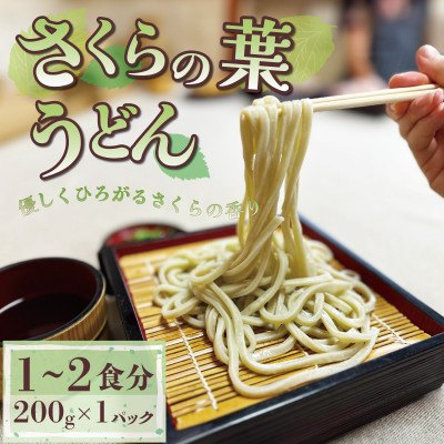 菊水うどん・そば 4種セット (うどん×3、さくらうどん×1、さくらの葉うどん×1、そば×1)【配送不可地域：離島】