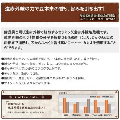 【毎月定期便】コーヒー豆　グァテマラ ウエウエテナンゴファンシー　200g×2　遠赤外線焙煎全6回【配送不可地域：離島】