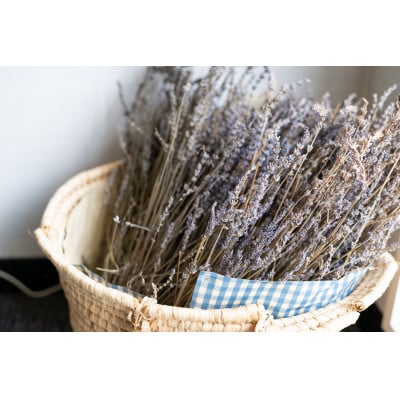 【橋立ベイホテル】ペア宿泊券　1泊素泊り　スタンダードツイン21平米