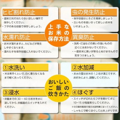 令和7年産米　丹後産ミルキークイーン 精米30kg(5kg×6袋)　冷めても美味しいお米　数量限定