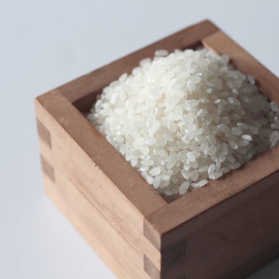 CRAFT CHOCOLATE RICE GRAINS　丹後米チョコレートシリアル 2個 与謝野町【配送不可地域：離島】