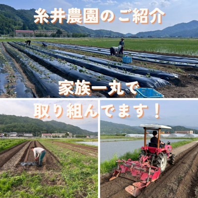 【熟成干し芋】京都府与謝野町産 紅はるか 農家こだわり京の干し芋 200g×3袋 糸井農園【配送不可地域：離島】