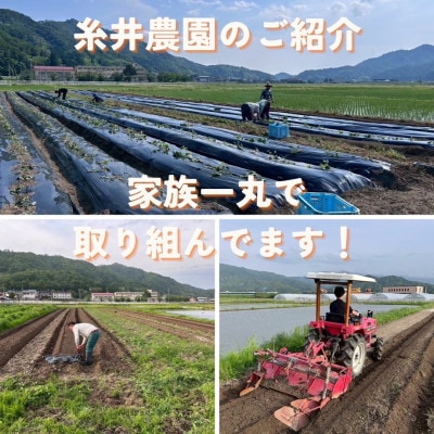 【熟成干し芋】京都府与謝野町産 紅はるか 農家こだわり京の干し芋 200g×10袋 糸井農園【配送不可地域：離島】