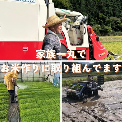 【令和7年産米】京都府与謝野町産 丹後コシヒカリ 精米10kg　特別栽培米 京の豆っこ米