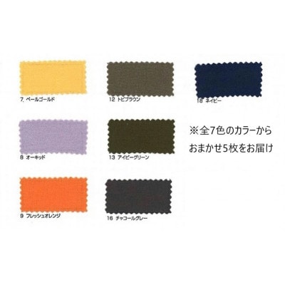 【訳あり】 丹後ちりめん接触冷感マスク　カラーおまかせ　5枚セット Lサイズ(男性向け)