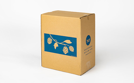 【与謝野町産ホップ使用クラフトビール】 ASOBI(アソビ) 350ml×12本　ペールエール