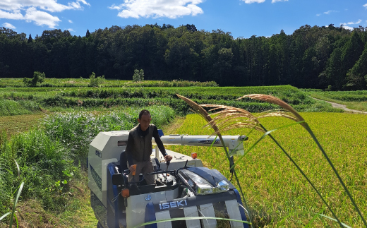 数量限定　令和7年新米　大江山蛇紋岩成分の影響を受けたミネラル豊富な棚田で育ったコシヒカリ精米5kg