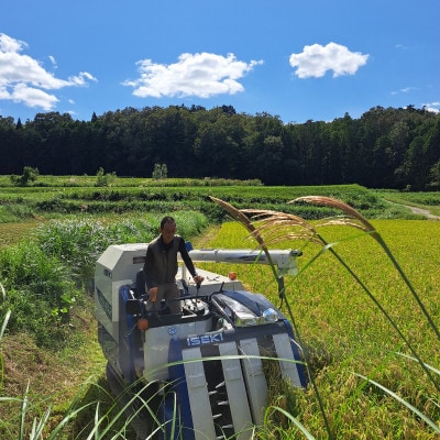 【毎月定期便】大江山蛇紋岩成分の影響を受けたミネラル豊富な棚田で育ったコシヒカリ精米5kg全3回