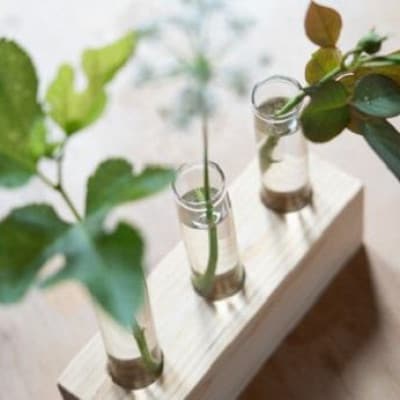 森の美しさを守る 与謝野ヒノキの1輪挿し　京都丹後の檜を使用したシンプルデザインのインテリア