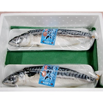 橋立やまいち自慢　旨みたっぷりふっくら塩サバ(大)×2本【配送不可地域：離島・北海道・沖縄県】