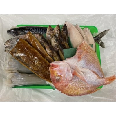 海の京都 橋立やまいちの干物セット 贈答用 D[ 一夜干し 桜干し ギフト ]【配送不可地域：離島】