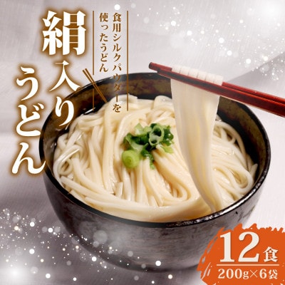 絹入りうどん 約12食 (200g×6袋セット) シルクパウダー入りの人気乾麺うどん