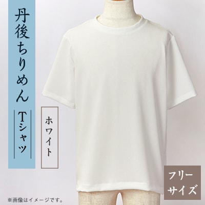 京都の伝統織物を使った丹後ちりめんTシャツ ホワイト