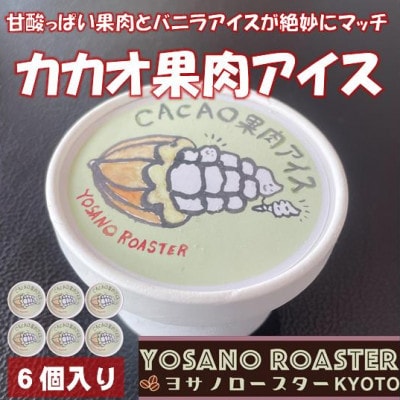 カカオ果肉入りアイス　バニラアイスと甘酸っぱい果肉が相性バツグンのアイスクリーム　京都与謝野町より【配送不可地域：離島】