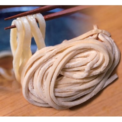 へじや製麺のうどん生麺10食セット 太麺タイプ　つけ用特製だしつゆ付【配送不可地域：離島】