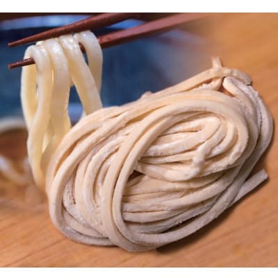へじや製麺のうどん生麺10食セット 細麺タイプ　ぶっかけ(冷)用特製だしつゆ付【配送不可地域：離島】