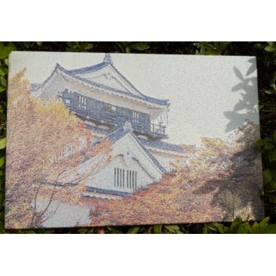 御城印帳(岡崎城)