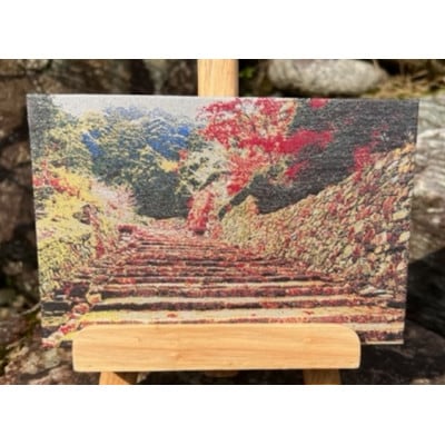 御城印帳(安土城)