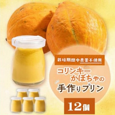 栽培期間中、農薬を使わず自家栽培した「コリンキーかぼちゃ」使用の手作りプリン　12個【配送不可地域：離島】