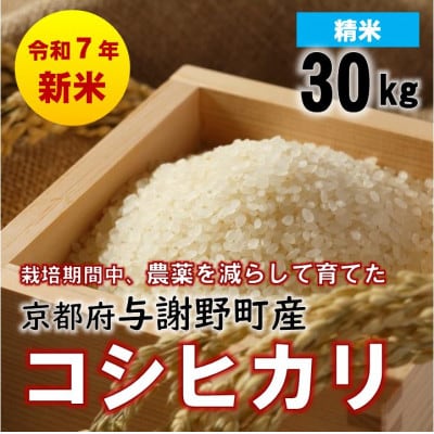 令和7年産新米　京都丹後産コシヒカリ　精米30kg　栽培期間中、農薬を減らして育てたお米　農家直送
