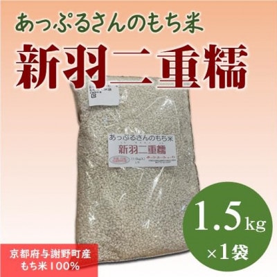 【京都府固有種・希少もち米】 新羽二重糯1.5kg 　冷めてもやわらかい、最高級のもち米　農家直送