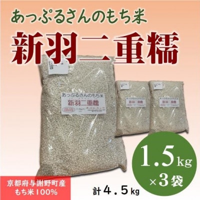 【京都府固有種・希少もち米】 新羽二重糯1.5kg×3袋　冷めてもやわらかい最高級のもち米　農家直送