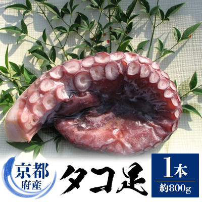 京都府産　タコ足　1本(冷凍:鮮度抜群真空パック)【共通返礼品】【配送不可地域：離島】