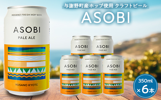 【与謝野町産ホップ使用クラフトビール】 ASOBI(アソビ)　350ml ×6本　ペールエール