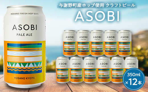 【与謝野町産ホップ使用クラフトビール】 ASOBI(アソビ) 350ml×12本　ペールエール