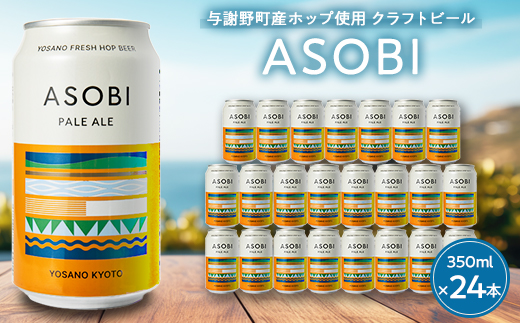 【与謝野町産ホップ使用クラフトビール】 ASOBI(アソビ) 350ml×24本　ペールエール