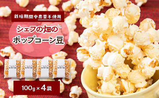 栽培期間中、農薬を使わず自家栽培　シェフの畑のポップコーン豆　100g×4袋(20食分)