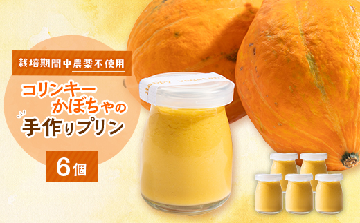 栽培期間中、農薬を使わず自家栽培した「コリンキーかぼちゃ」使用の手作りプリン　6個【配送不可地域：離島】