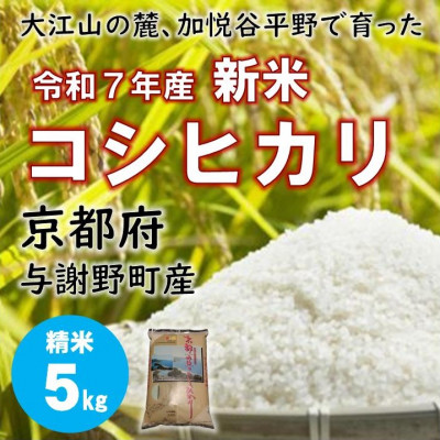 令和7年新米　大江山の麓、京都府与謝野町で育った丹後産コシヒカリ　精米5kg　おいしいお米を農家直送