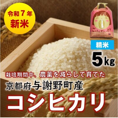 R7年産新米　京都丹後産コシヒカリ　精米5kg　栽培期間中、農薬を減らして育てたお米　農家直送