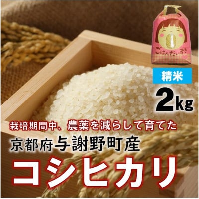 令和7年産米　京都丹後産コシヒカリ　精米2kg　栽培期間中、農薬を減らして育てたお米　農家直送