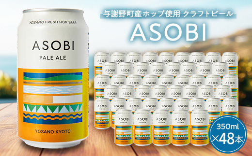 【与謝野町産ホップ使用クラフトビール】 ASOBI(アソビ)　350ml×48本　ペールエール