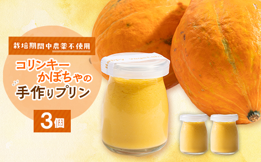 栽培期間中、農薬を使わず自家栽培した「コリンキーかぼちゃ」使用の手作りプリン　3個【配送不可地域：離島】