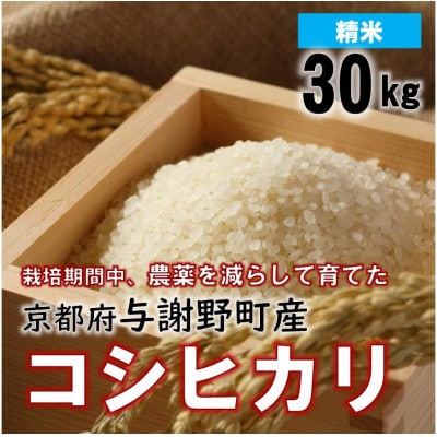 令和7年産米　京都丹後産コシヒカリ　精米30kg　栽培期間中、農薬を減らして育てたお米　農家直送