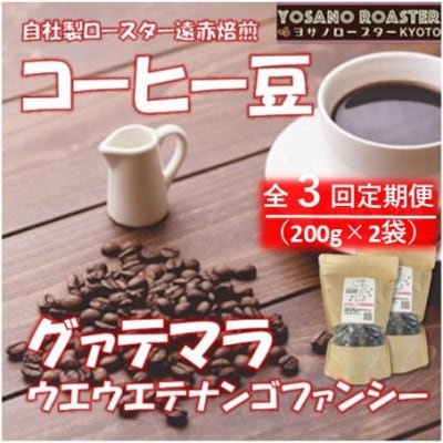 【毎月定期便】コーヒー豆　グァテマラ ウエウエテナンゴファンシー　200g×2　遠赤外線焙煎全3回【配送不可地域：離島】