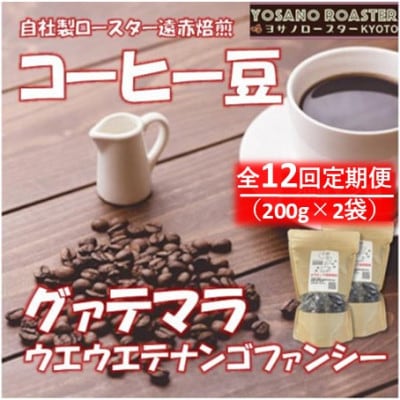 【毎月定期便】コーヒー豆　グァテマラ ウエウエテナンゴファンシー　200g×2　遠赤外線焙煎全12回【配送不可地域：離島】