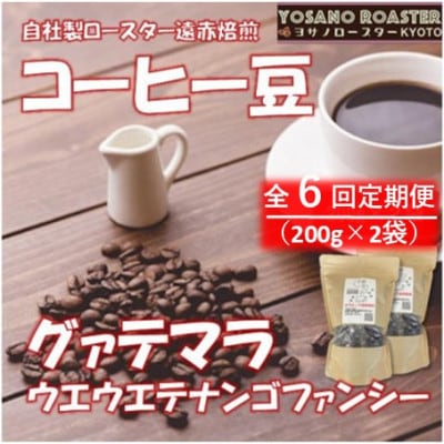 【毎月定期便】コーヒー豆　グァテマラ ウエウエテナンゴファンシー　200g×2　遠赤外線焙煎全6回【配送不可地域：離島】