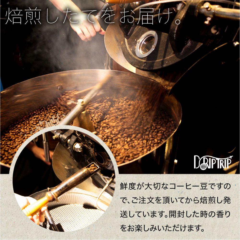 【粉】#030 ペルー クナミア コーヒー豆 310g 当日焙煎 大山珈琲