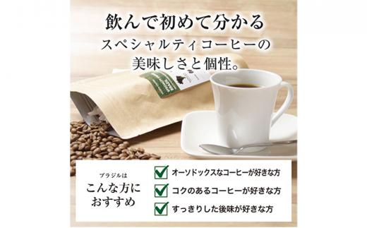 【粉】#901  ブラジル カルモデミナス Qグレード コーヒー豆 310g 当日焙煎 大山珈琲