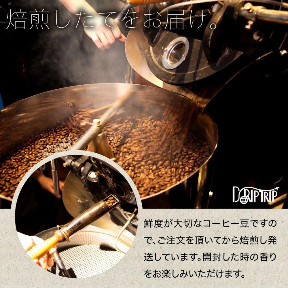 【豆】コーヒー #250 グアテマラ デカフェ ウォータープロセス 310g 当日焙煎 大山珈琲