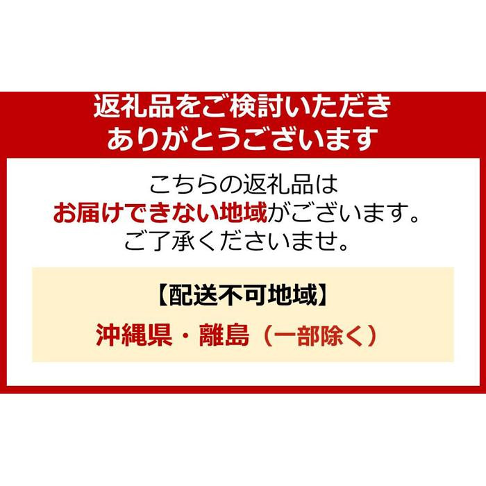 ライオン「ソフランプレミアム消臭」（ソープの香り）本体・替セット（510g×2本＋380g×10袋）