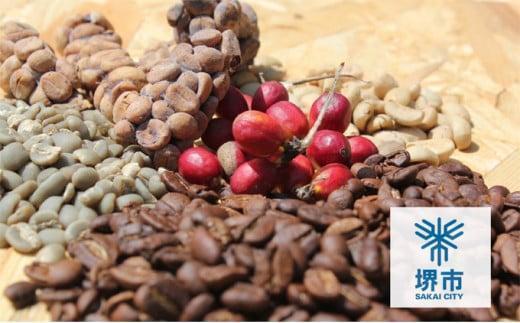 【定期便　全6回】最高級コーヒー コピルアク 100g【豆状】