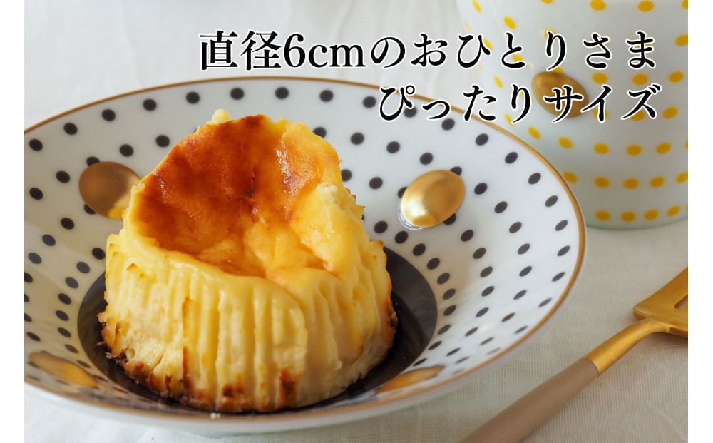 【amica fragranza】バスクチーズケーキセット-冷凍便-